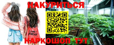 крисы Малоярославец