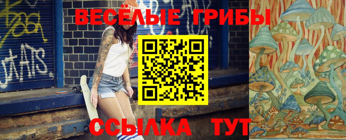 Удомля  Галлюциногенные грибы мицелий  Вход с VPN 